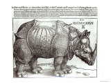 Rhinoceros, Print Given to Maximilian I by the King of Lisbon, 1515 Wydruk giclee autor Albrecht Dürer