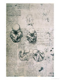 Five Views of a Foetus in the Womb, Facsimile Copy Wydruk giclee autor Leonardo da Vinci Five Views of a Foetus in the Womb, Facsimile Copy Wydruk giclee autor Leonardo da Vinci