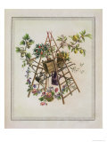 A Garden Textile Design Giclee Print by Pierre Ranson