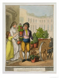 Cries of London: the Garden Pot Seller, 1799 Giclee Print by Thomas Rowlandson Cries of London: the Garden Pot Seller, 1799 Giclee Print by Thomas Rowlandson