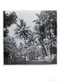 A Street in Papeete, from "Tahiti," Published in London, 1882 Reproduction procédé giclée par Colonel Stuart-wortley