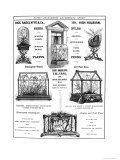 Advertisement for Advertisement for