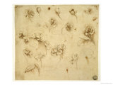 Study of Flowers Giclee-trykk av Leonardo da Vinci