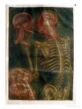 The Brain and the Spinal Chord, from "Exposition Anatomique De La Structure Du Corps Humain," 1759 Giclee Print by Jacques Fabien Gautier d'Agoty