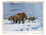 Troop of Mammoths in the Ice Age Giclee Print by Wilhelm Kuhnert