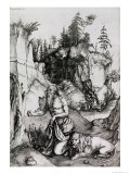 The Penitent St. Jerome Giclee Print by Albrecht Dürer The Penitent St. Jerome Giclee Print by Albrecht Dürer