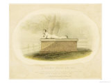 A Harrow School Boy, Lord Byron, 1833 Giclee Print by Auguste Hervieu