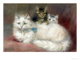 A Persian Cat and Her Kittens Giclee Print by Maud D. Heaps