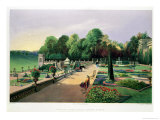 The Upper and Lower Terrace Gardens at Bowood, from The Upper and Lower Terrace Gardens at Bowood, from