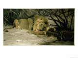 Lion Reclining in a Landscape Giclee Print by Wilhelm Kuhnert