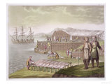 The Fishing Industry, Newfoundland, from The Fishing Industry, Newfoundland, from