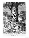 The Tree of Cannibals, Illustration from "Five Weeks in a Balloon" by Jules Verne Paris, Hetzel Giclee Print by Édouard Riou