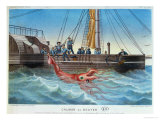 The Giant Squid Caught by the Alecton off the Coast of Tenerife, 30th November 1861 Giclee Print by E. Rodolphe