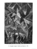 Illustration from "Voyage Au Centre De La Terre" Giclee Print by Édouard Riou
