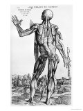 Anatomical Study, Illustration from "De Humani Corporis Fabrica", 1543 Giclée-Druck von Andreas Vesalius