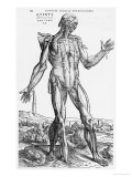 Anatomical Study, Illustration from "De Humani Corporis Fabrica", 1543 reproduction procédé giclée par Andreas Vesalius