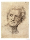 Head of a Man, Possibly Bramante Giclee Print by Raphael 