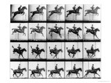 Man and Horse Jumping, from Man and Horse Jumping, from