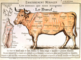 Beef: Diagram Depicting the Different Cuts of Meat - Giclee Baskı Beef: Diagram Depicting the Different Cuts of Meat - Giclee Baskı