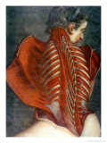 The Flayed Angel," from "Myologie Complette En Couleur Et Grandeur Naturelle," 1746 Giclee Print by Jacques Fabien Gautier d'Agoty