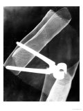 Photogram with Pliers, 1920 Giclee Print by El Lissitzky