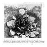 Lycosa Narbonensis Exposing Her Egg to the Sunlight, from 'L'Illustration' Published 9th April 1910 Giclee Print by Jean-henri Fabre