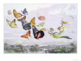 The Fairy Queen's Carriage reproduction procédé giclée par Richard Doyle