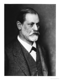 Portrait of Sigmund Freud circa 1900 Digitálně vytištěná reprodukce Portrait of Sigmund Freud circa 1900 Digitálně vytištěná reprodukce