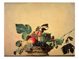 Basket with Fruit, circa 1596 Giclee Print by Caravaggio 
