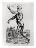 Musculature Structure of a Man Giclee Print by Andreas Vesalius