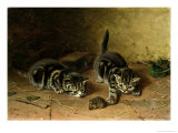 Reluctant Playmate reproduction procédé giclée par Horatio Henry Couldery
