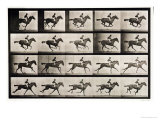 Jockey on a Galloping Horse, Plate 627 from 