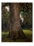 Study of the Trunk of an Elm Tree, circa 1821 Giclee Print by John Constable