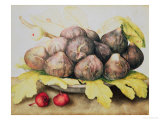 Figos Impressão giclée por Giovanna Garzoni