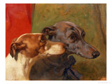 The Greyhounds "Charley" and "Jimmy" in an Interior Giclee Print by John Frederick Herring I