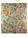 Honeysuckle II' Design Reproduction procédé giclée par William Morris