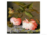A Still Life with Roses on a Ledge Giclee Print by Balthasar van der Ast
