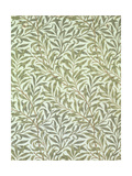William Morris - William Morris -