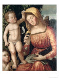 Madonna Sewing Giclée-tryk af Giovanni Francesco Caroto