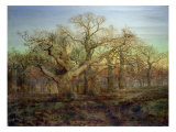 The Edge of Sherwood Forest, 1878 reproduction procédé giclée par Andrew Maccallum