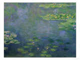 Wasserlilien Giclée-Druck von Claude Monet