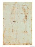 Two Studies of a Hanging Skeleton Giclée-tryk af Leonardo da Vinci Two Studies of a Hanging Skeleton Giclée-tryk af Leonardo da Vinci