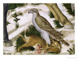 Falcon with Captured Rabbit, Detail from the Journey of the Magi Cycle in the Chapel, circa 1460 Lámina giclée por Benozzo di Lese di Sandro Gozzoli