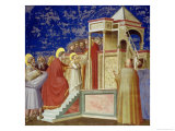 The Presentation of the Virgin at the Temple, circa 1305 Giclee Print by Giotto di Bondone 