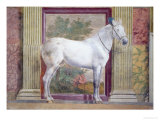 Sala Dei Cavalli, Detail Showing Portrait of a Grey Horse from the Stables of Ludovico Gonzaga III Giclee Print by Giulio Romano