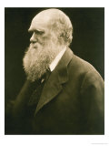 Charles Darwin Giclee Print by Julia Margaret Cameron