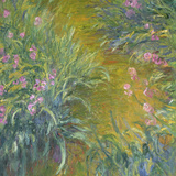 Iris (U.K. Quad) Lámina giclée por Claude Monet Iris (U.K. Quad) Lámina giclée por Claude Monet