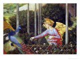 Angel Feeding a Peacock, Detail from the Journey of the Magi Cycle in the Chapel, c. 1460 reproduction procédé giclée par Benozzo di Lese di Sandro Gozzoli