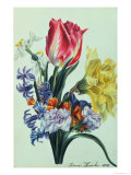 Spring Flowers, 1815 Giclee Print by Anne Hooke