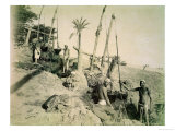 Shadufs in Upper Egypt Giclee Print by G. Lekegian